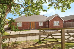 THE CONIFERS- click for photo gallery